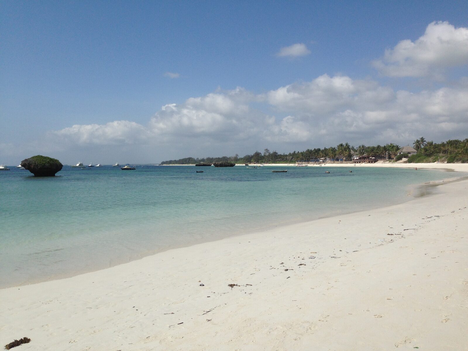 Turtle Bay — foto 1
