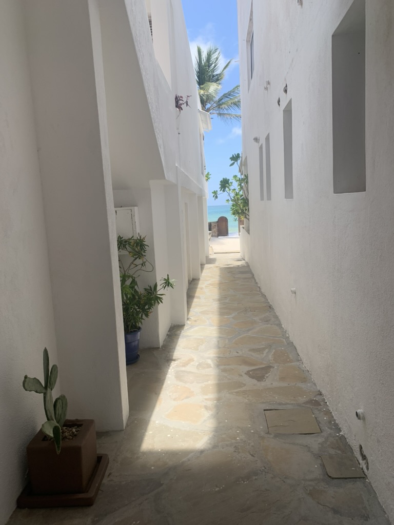 Vista mare con palme da JTT House a Watamu