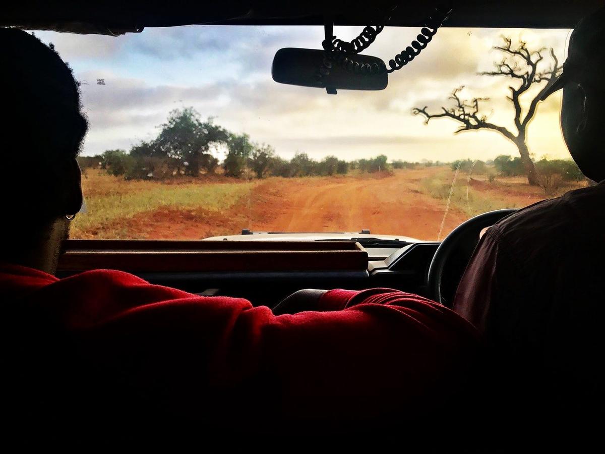 Safari Kenya — foto 12
