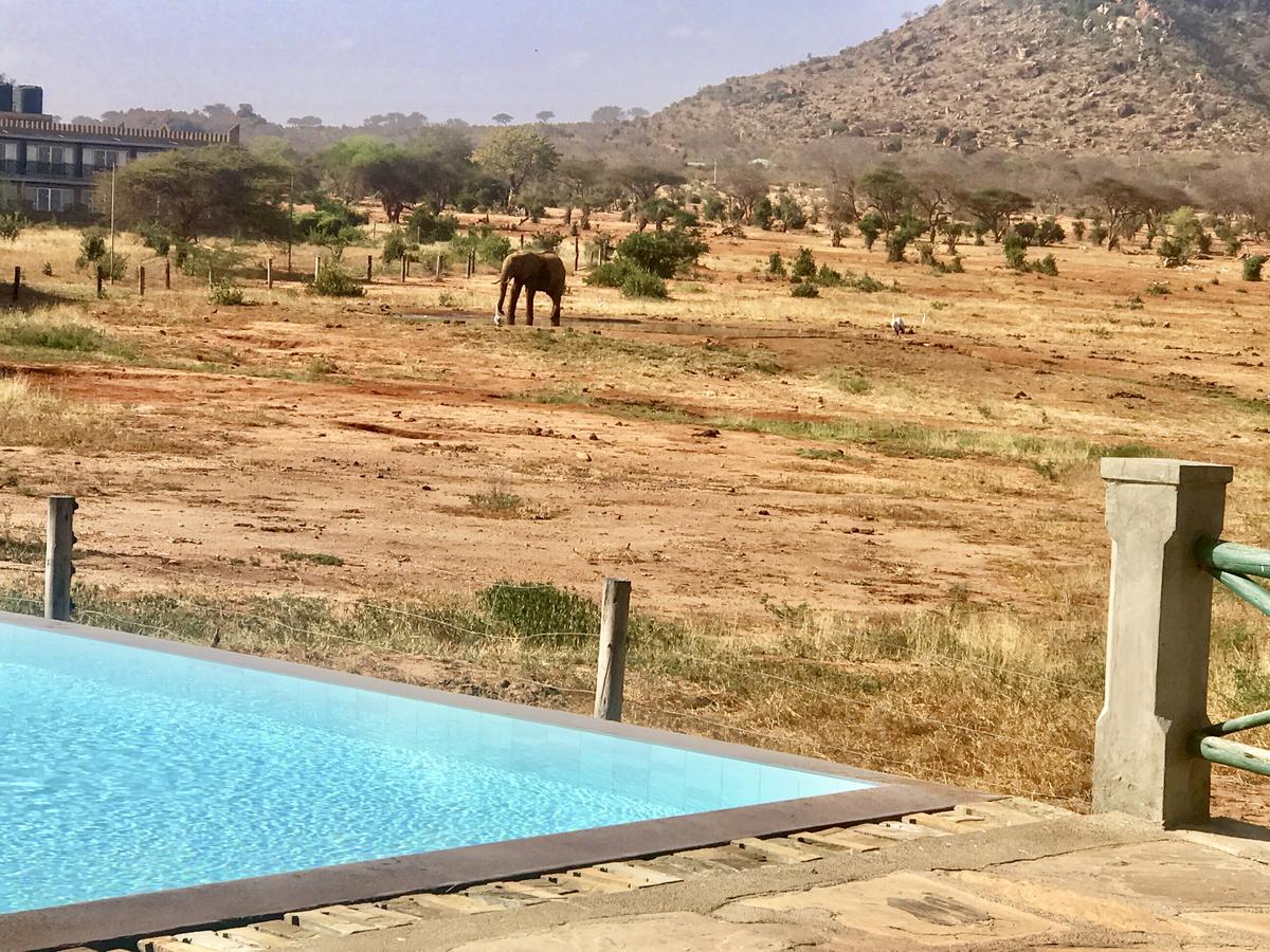 Safari Kenya — foto 44