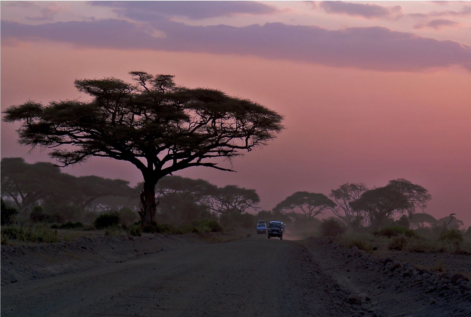 Savana del Kenya al tramonto