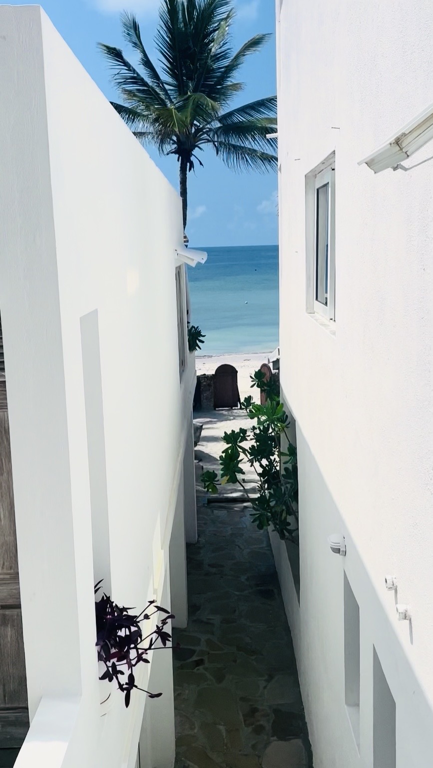 Vista dal vialetto di Tembo Baharini con palma e oceano sullo sfondo